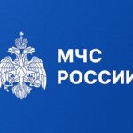Вырастить, собрать, сохранить