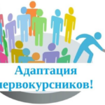 «Неделя адаптации» для первокурсников колледжей в столице Алтайского края объединила порядка 900 студентов
